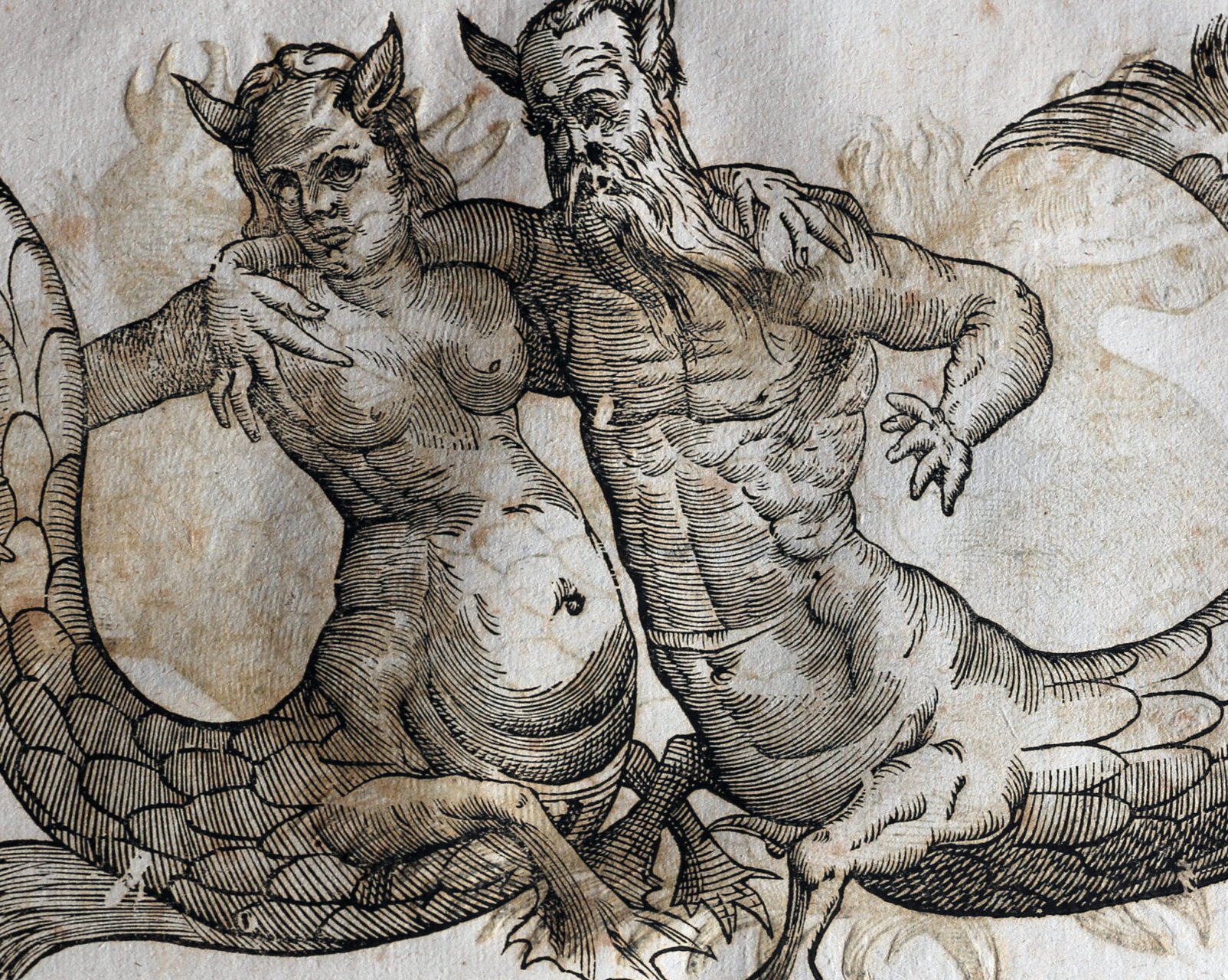 9 теорий эволюции, созданных учёными от Античности до наших дней